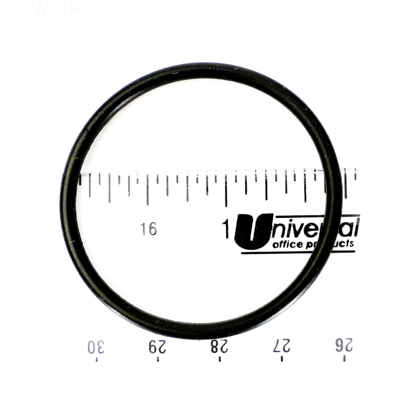 Hayward Union O-Ring | SPX1491B