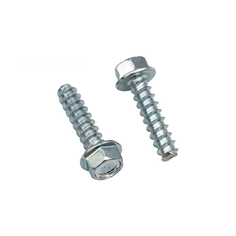 Hayward Mounting Foot Cap Screw, 2/Pack | SPX1600Z52