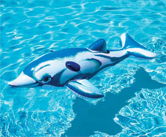 The Swimline 72 Inch Pool Dolphin float by Swimline is seen drifting on the surface of a clear blue swimming pool.