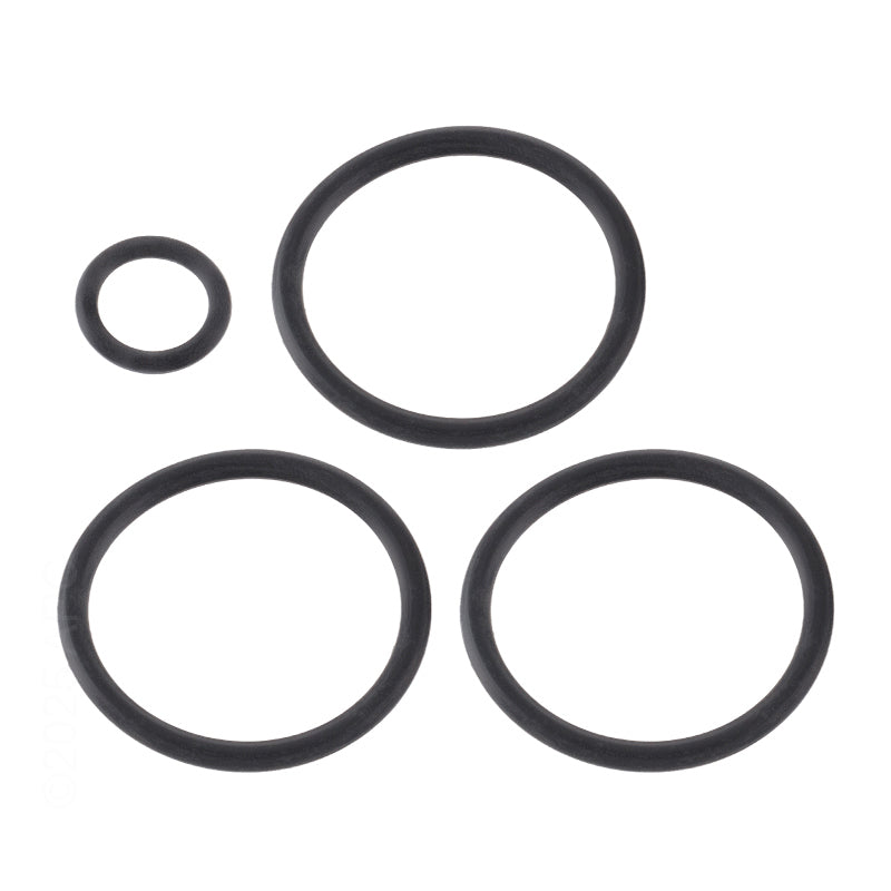 1.5" PISTON O-RING SET