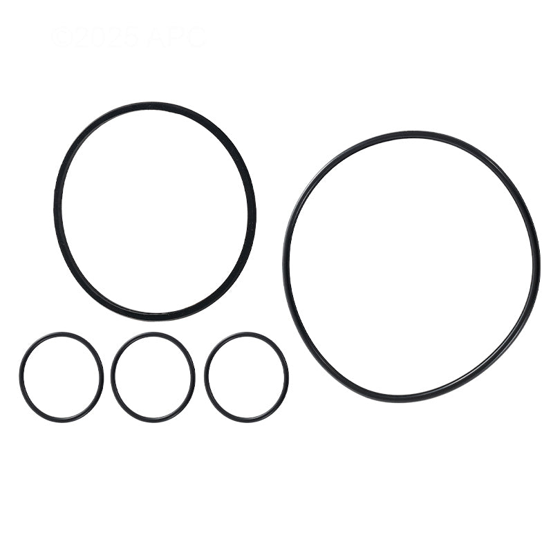 Hayward VL Series O-Ring Kit | VLX4004a