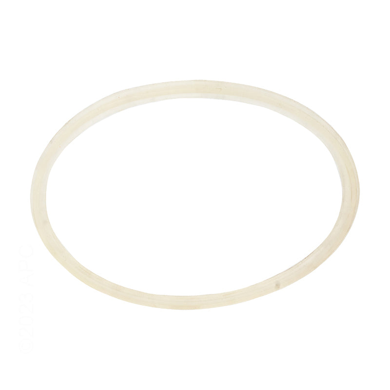 GUNITE LOWER BODY GASKET