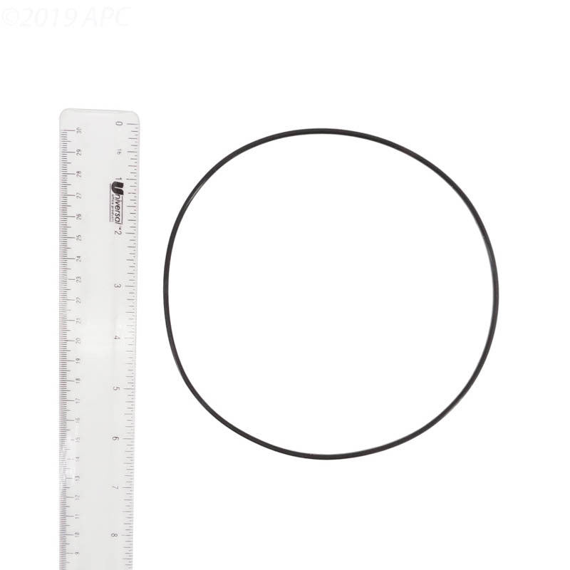 VOLUTE O-RING #164 EX2