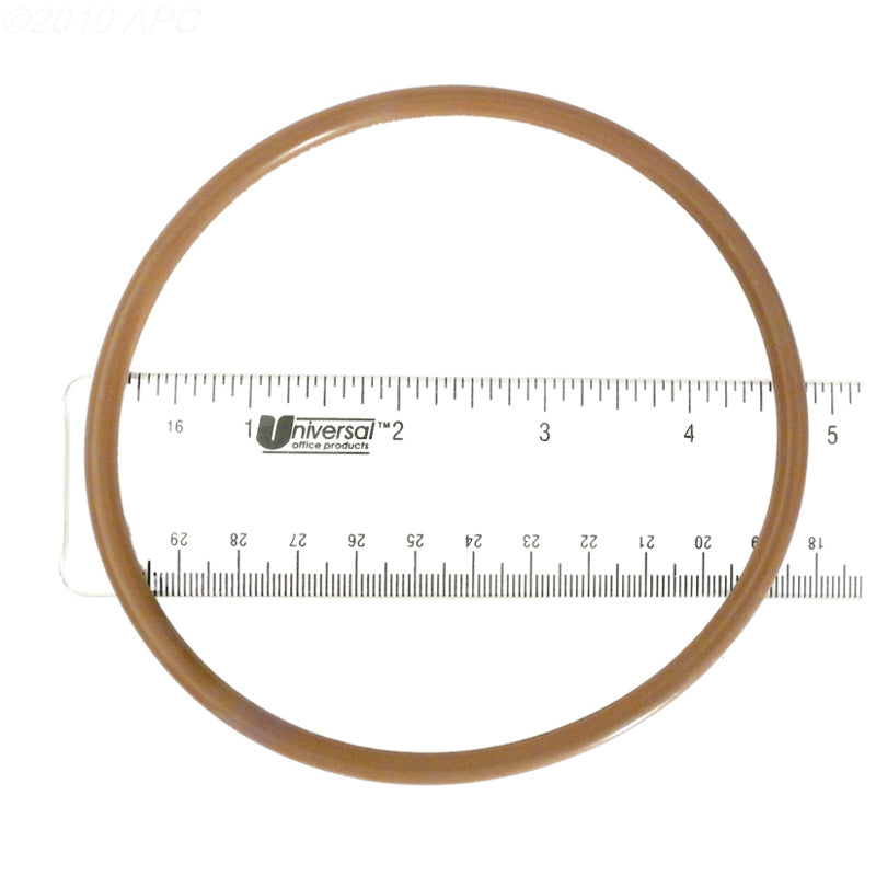 CHLORINATOR O-RING