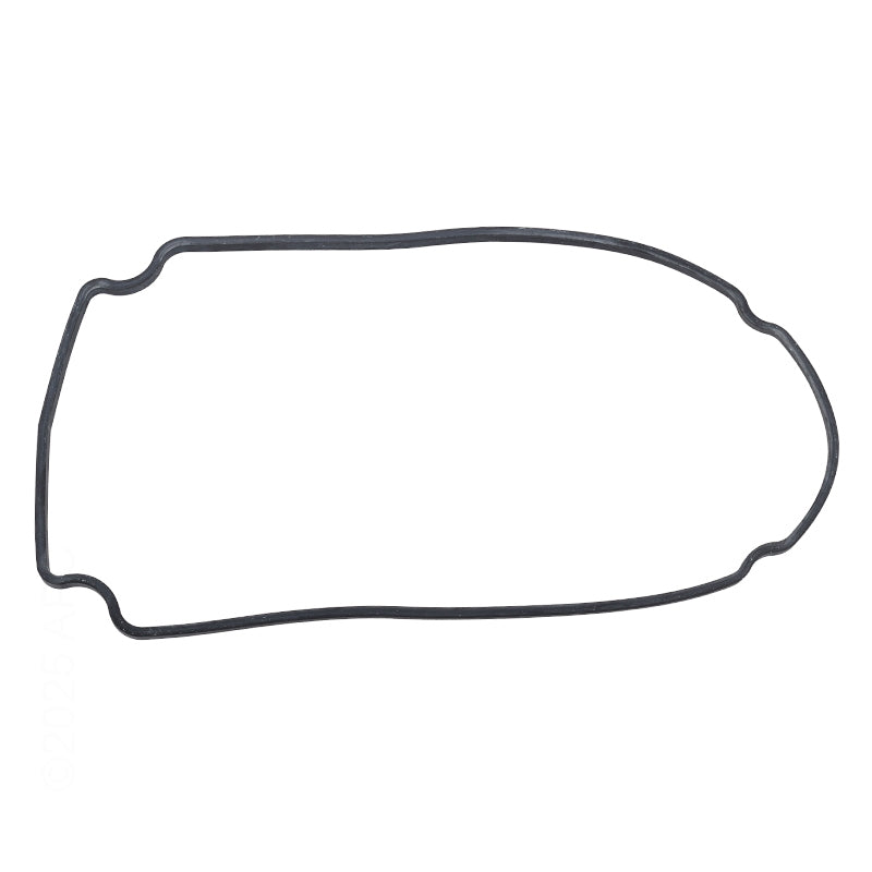 GASKET FACEPLATE WW CHAMPION