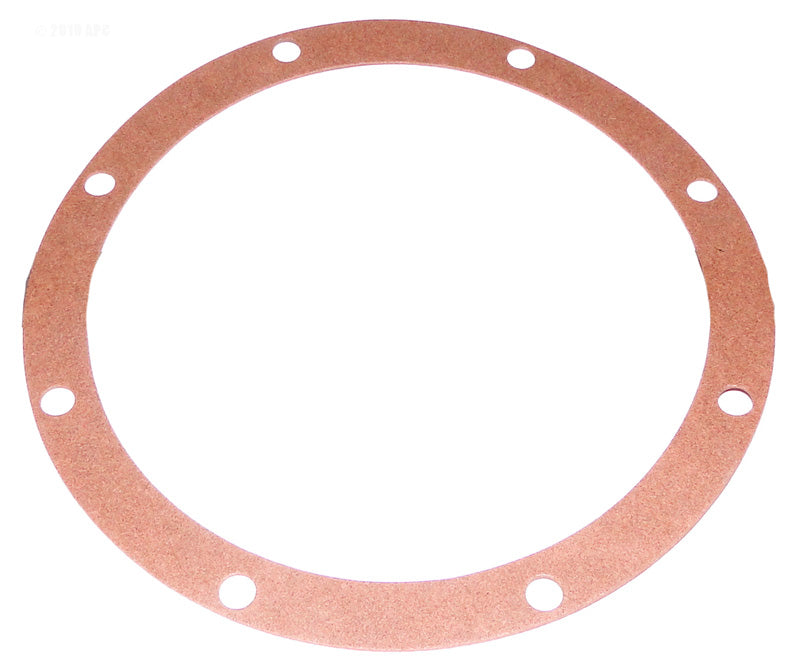 PUMP ADAPTER GASKET C20046