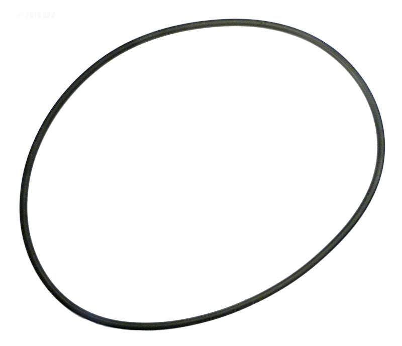 2470072 20" TANK O-RING SWIMQUIP