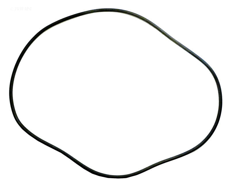 2470073 24" TANK O-RING SWIMQUIP
