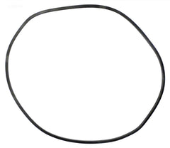 195008 PACFAB TANK O-RING