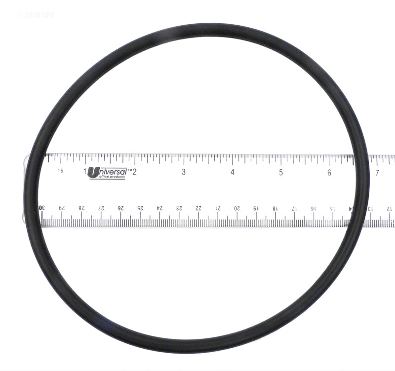 SPX3000S PUMP LID O-RING