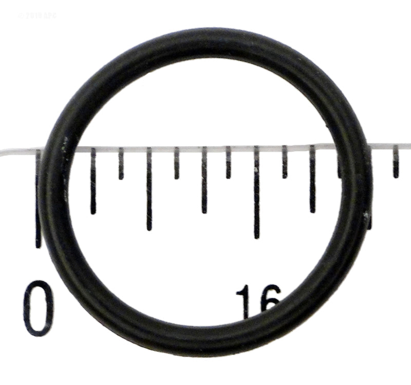 PVD24 O-RING