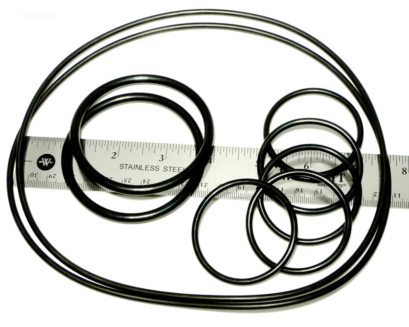 CARETAKER O-RING KIT