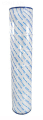 CARTR FOR SWIMCLEAR C5000 AND