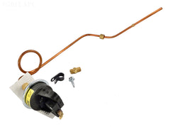 PRESSURE SWITCH & SYPHON LOOP