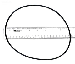 BODY O-RING