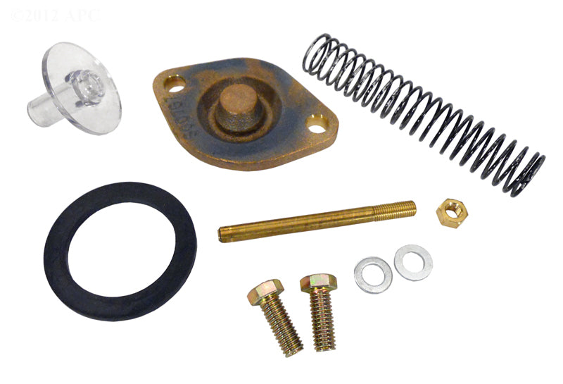 LAARS 400 BRNZ. FLOW ASSY
