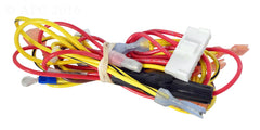 CONTROLLER WIRE HARNESS
