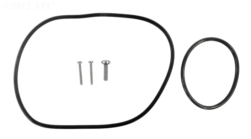 DIFFUSER BACKPLATE O-RING