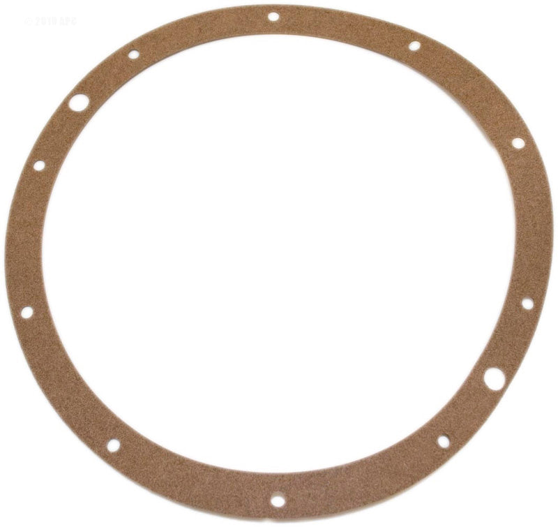HAYWARD VINYL NICHE GASKET