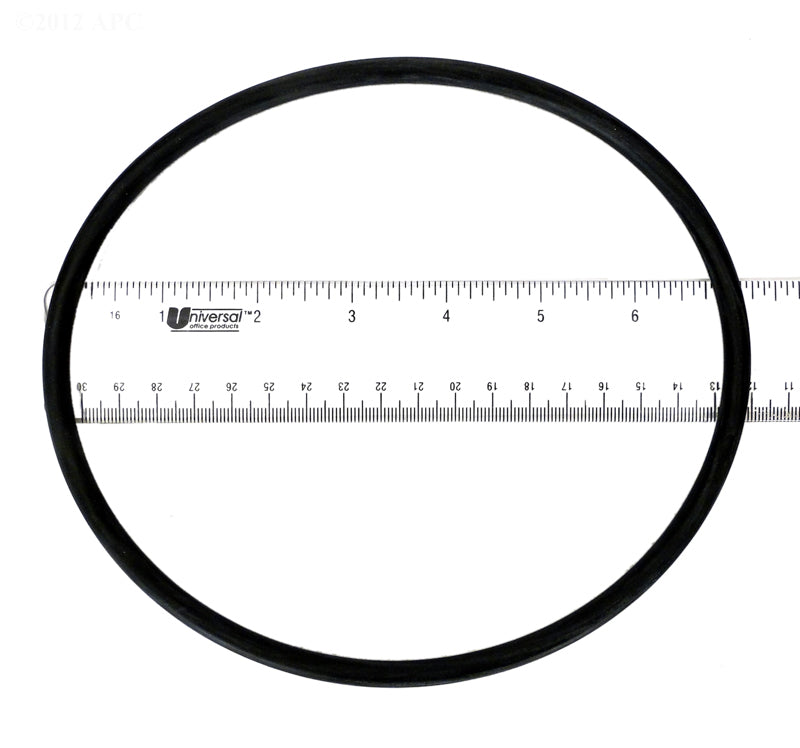 WET INSTITUTE LID O-RING