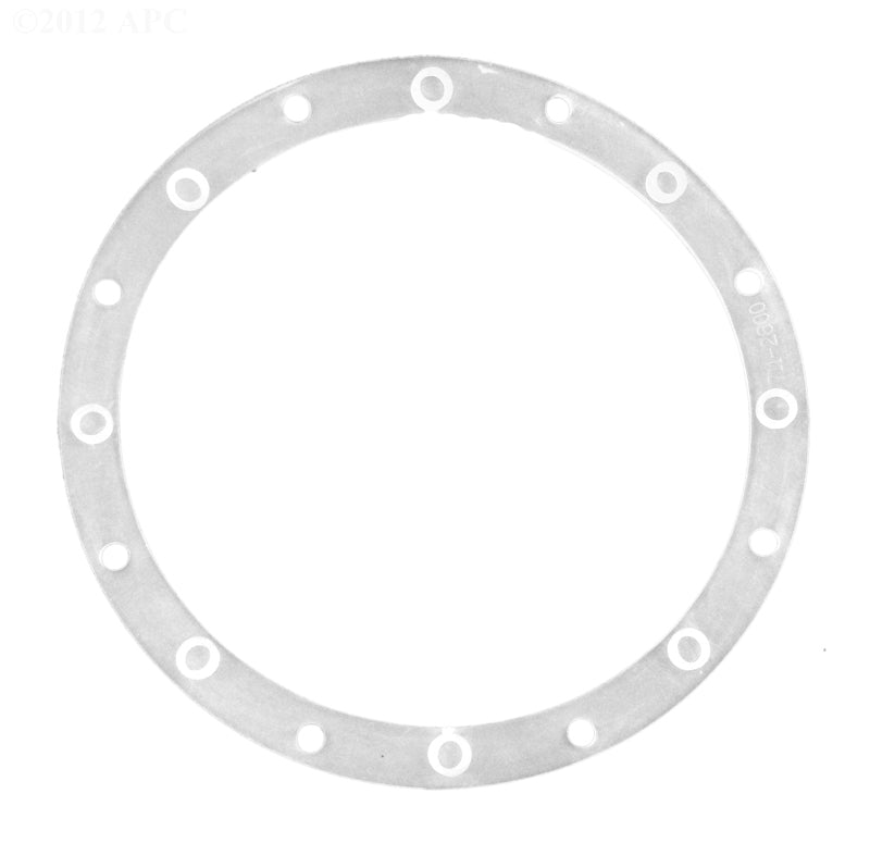 VINYL LINER MAIN DRAIN GASKET