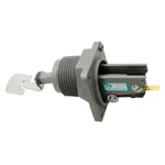 Flow Switches
