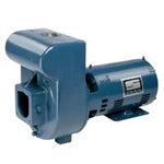 D Series: Centrifugal Pump