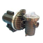 Dominator Medium Head