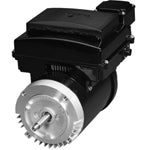 Variable Speed Motors (Switchless)