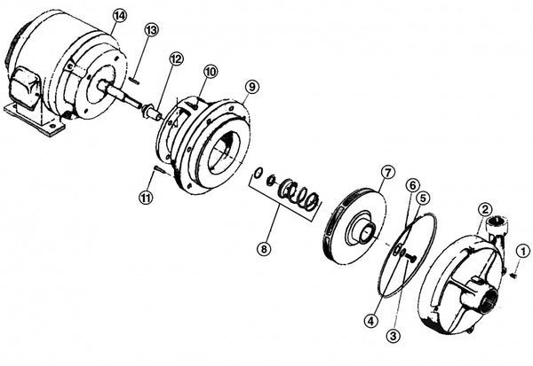 L Series Stockline Pump