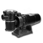 Models L, LC, LCUN2, LT, LX, LTC, LCU, LTCU, ULCU, ULTCU, LCM Pumps