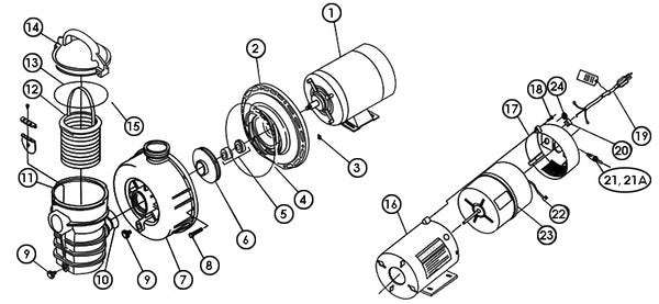 Dynamo & Starbright Pumps