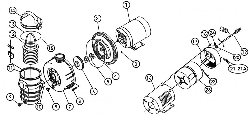 Dynamo & Starbright Pumps