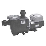 Econo-Flo 2 Speed Pump