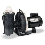 Water Features Pumps