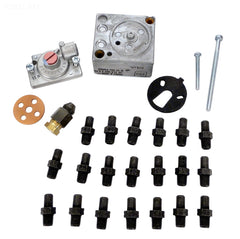 RAYPAK NAT-LP CONVERT KIT
