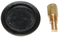 RAYPAK DRAIN PLUG & COVER