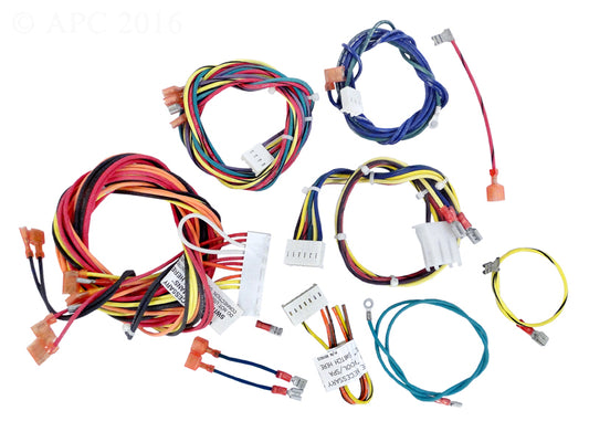 RAYPAK WIRE HARNESS IID