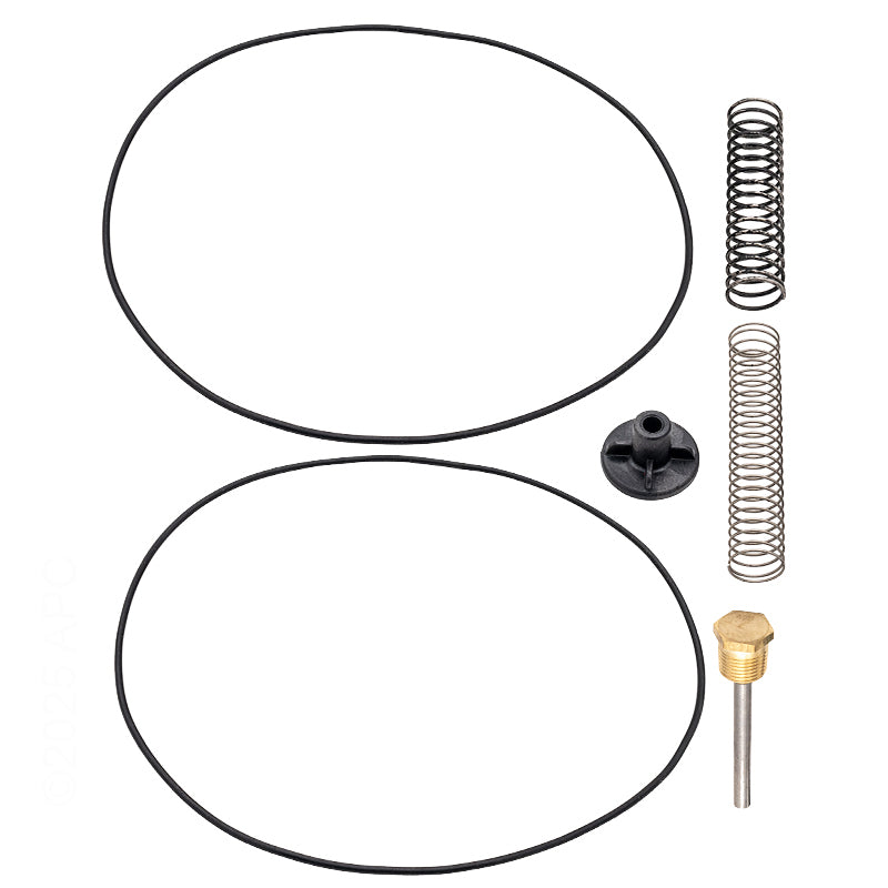BYPASS VALVE RAYPAK