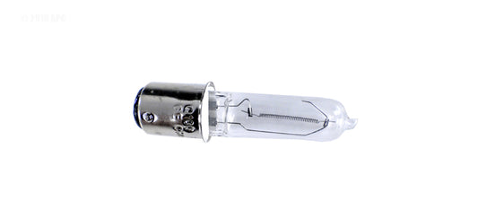 BULB 100W 120V