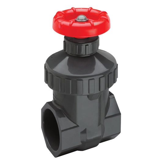 1.5" FPT PVC GATE VALVE