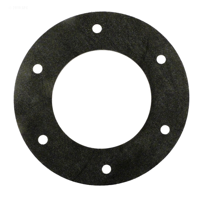 BADUSTREAM FACE RING GASKET
