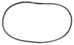 SWIMQUIP 20" TANK O-RING