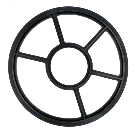 PENTAIR VALVE DIVERTER SEAL