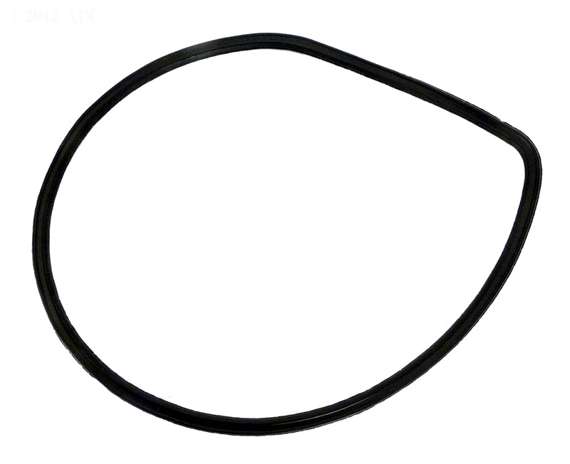 SPECK PUMP GASKET