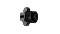 PLUG, DRAIN (1/4) (G & BS