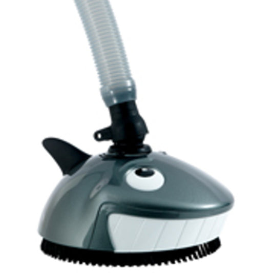 KRPY KRLY LIL SHARK SUCTION