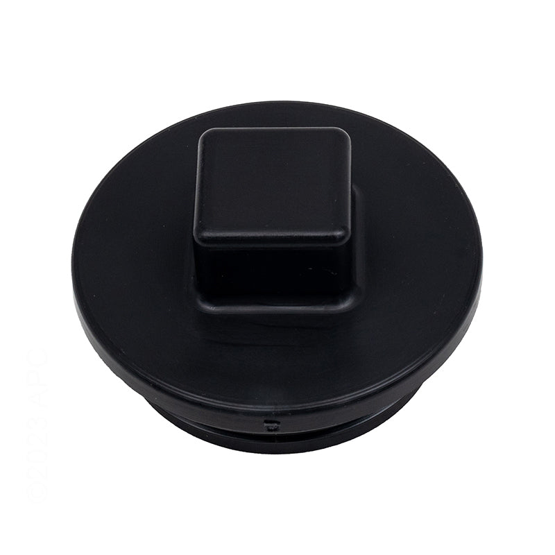 2 PLUG W/GASKET
