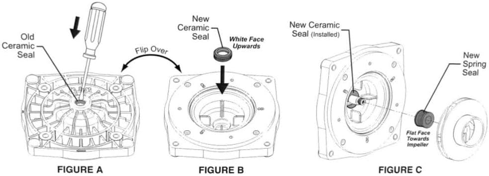 Pentair Superflo/SuperMax Seal Set | 356197