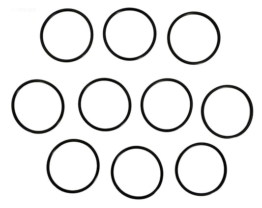INTELLICHLOR O-RINGS - PACK OF TEN